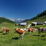 Schieplechnerhof Schladming