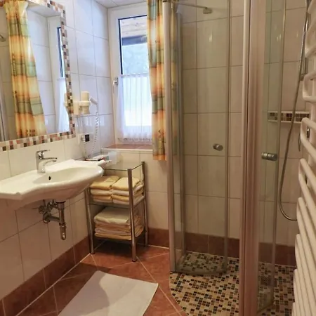 Schieplechnerhof Apartment Schladming