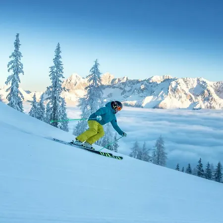 Apartment Schieplechnerhof Schladming