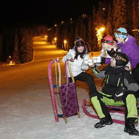 Schieplechnerhof Daire Schladming