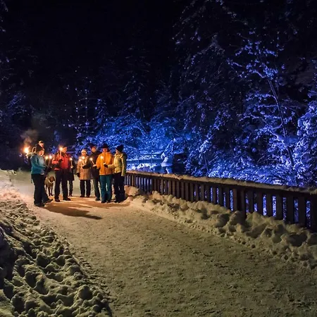 Daire Schieplechnerhof