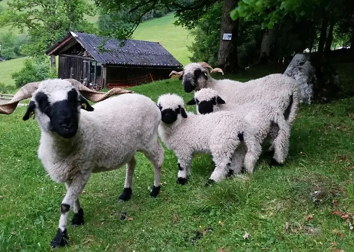 Schieplechnerhof Apartment *