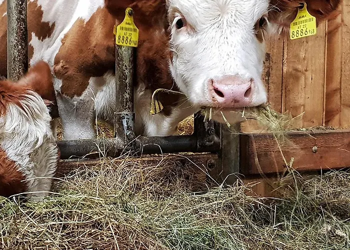 Διαμέρισμα Schieplechnerhof