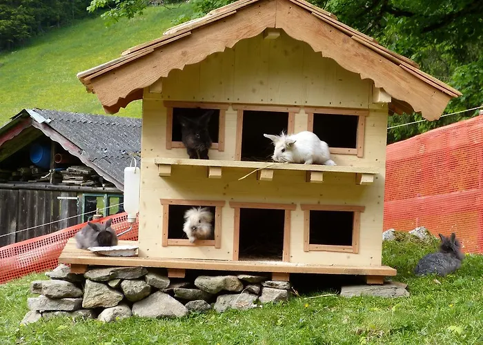 Schieplechnerhof Διαμέρισμα *