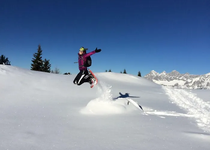 Apartment Schieplechnerhof