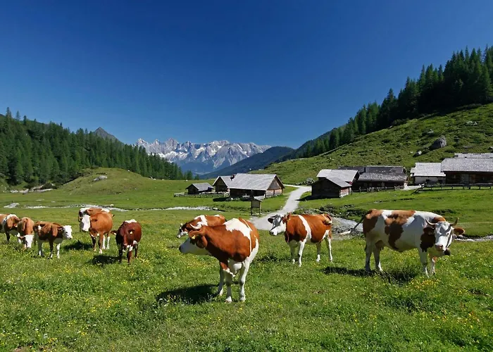 Schieplechnerhof Schladming