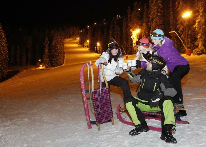 Schieplechnerhof Apartment Schladming