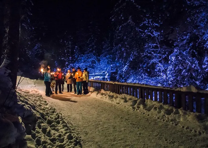 Διαμέρισμα Schieplechnerhof