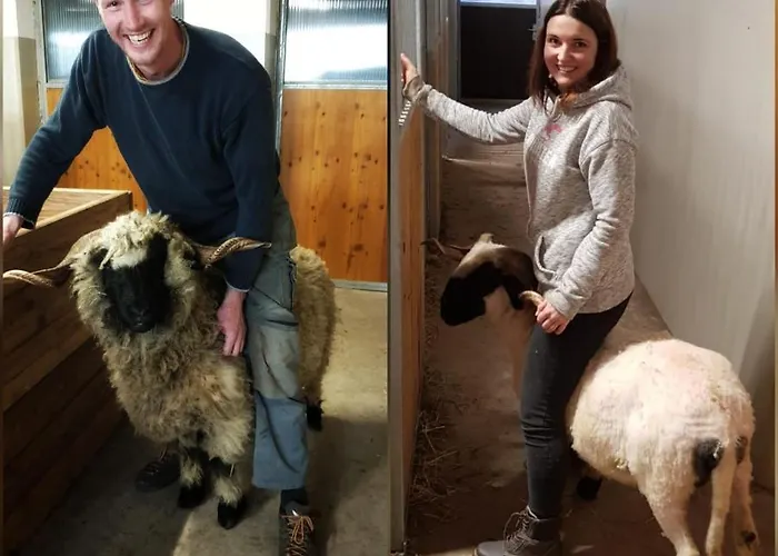 Schieplechnerhof Apartment